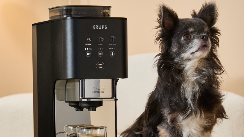 How to switch from whole beans to ground coffee